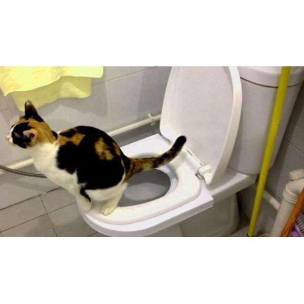 Набор для приучения кошек к унитазу CitiKitty Cat Toilet Training Kit