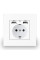 Розетка пластиковая с заземлением и двумя USB портами Coswall White