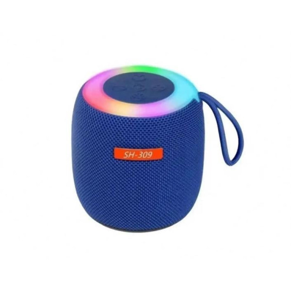 Портативная Bluetooth колонка SH 309 BT 100 Вт с усиленными басами