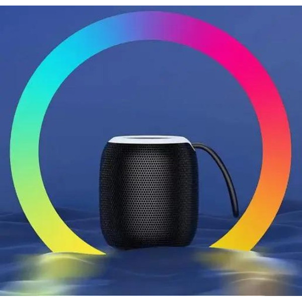 Портативная Bluetooth колонка SH 309 BT 100 Вт с усиленными басами