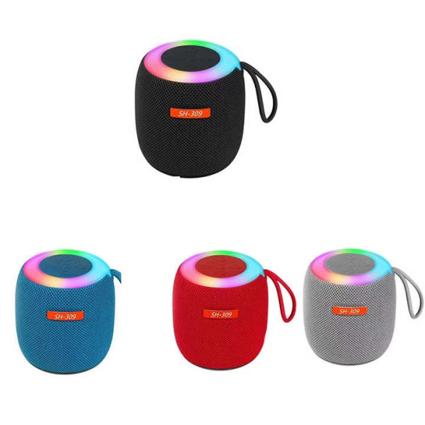 Портативная Bluetooth колонка SH 309 BT 100 Вт с усиленными басами