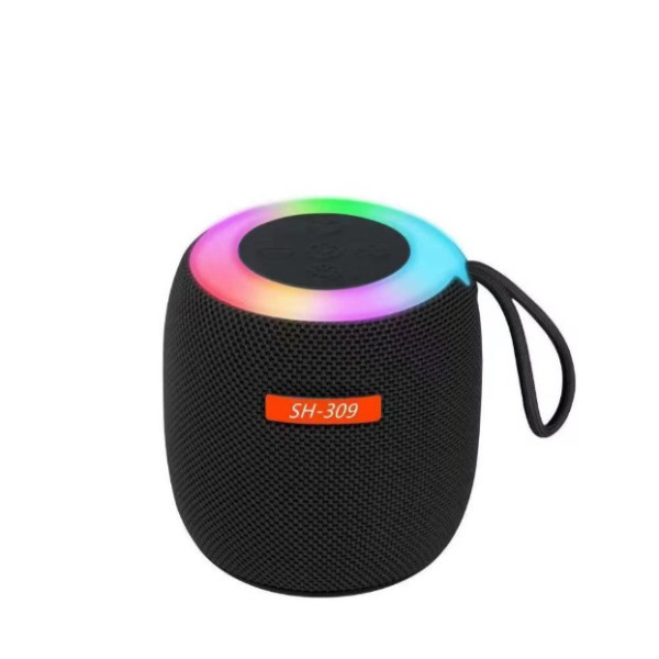 Портативная Bluetooth колонка SH 309 BT 100 Вт с усиленными басами