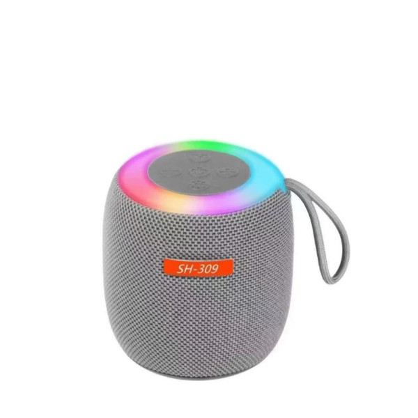 Портативная Bluetooth колонка SH 309 BT 100 Вт с усиленными басами