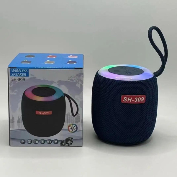 Портативная Bluetooth колонка SH 309 BT 100 Вт с усиленными басами