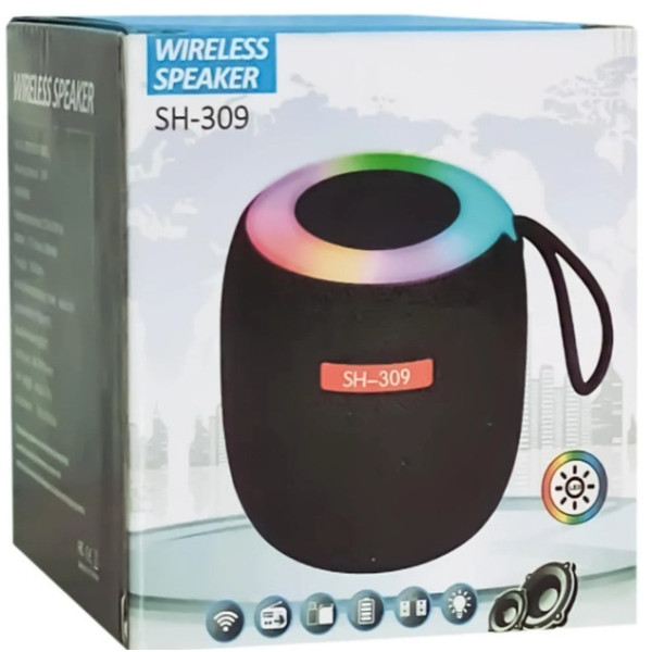 Портативная Bluetooth колонка SH 309 BT 100 Вт с усиленными басами