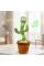 Музична іграшка Танцюючий Певучий Кактус Dancing Cactus TikTok
