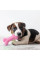 Набор жевательных игрушек Pet Set 6 в 1 с веревками для собак активных игр жевания и перетягивания