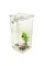Самоочищающийся мини аквариум My Fun Fish SS-78 с LED подсветкой, 2 литра, с растением и камешками